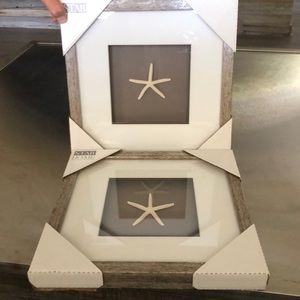 Famed starfish wall decor